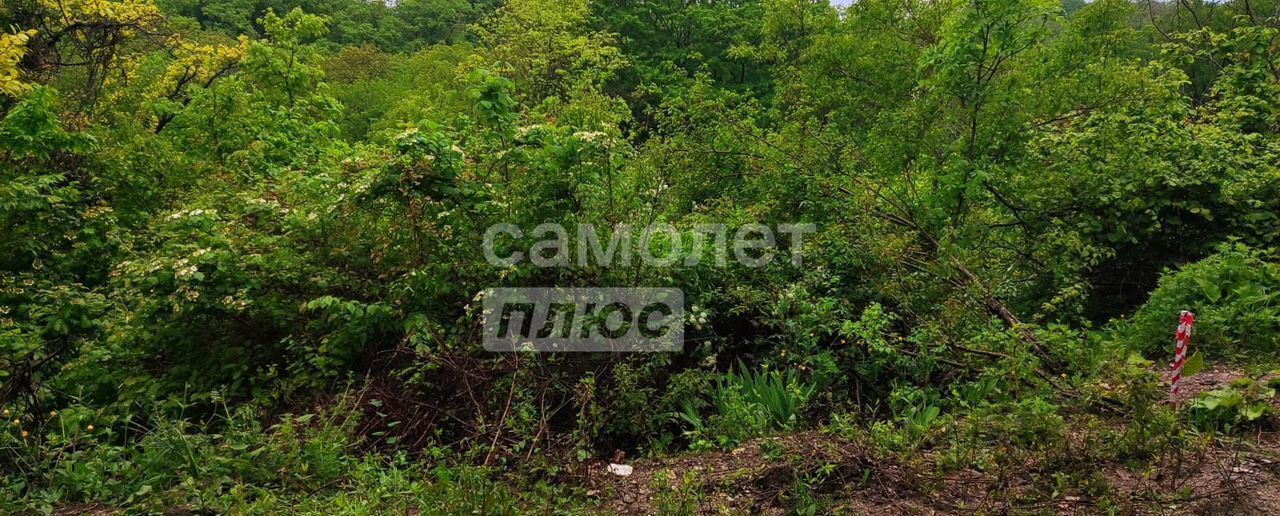 земля р-н Туапсинский г Туапсе СТ Южная горка фото 2
