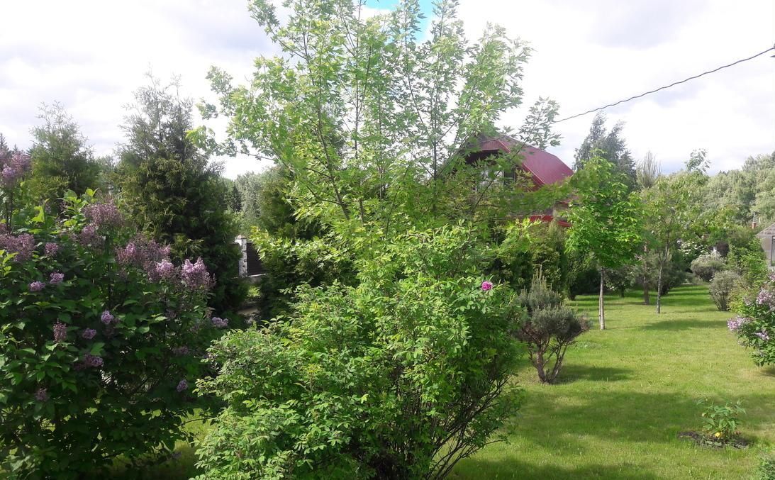 земля г Балашиха квартал Новский 13 км, Горьковское шоссе фото 3