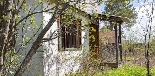 Дзержинец садоводческое товарищество, ул. Придорожная фото
