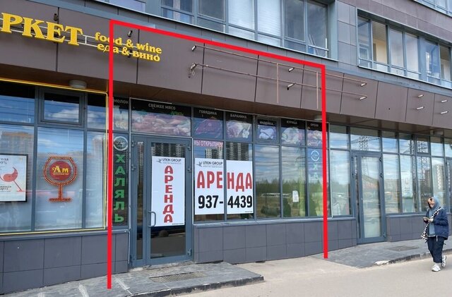 торговое помещение пр-кт Авиаторов Балтики 7 Девяткино, Муринское городское поселение фото