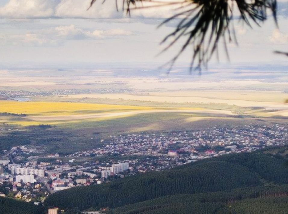 земля г Белокуриха ул Отдельная фото 1