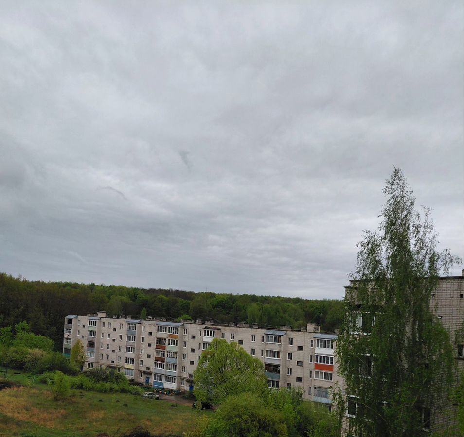квартира г Скопин мкр-н АЗМР, 33 фото 1