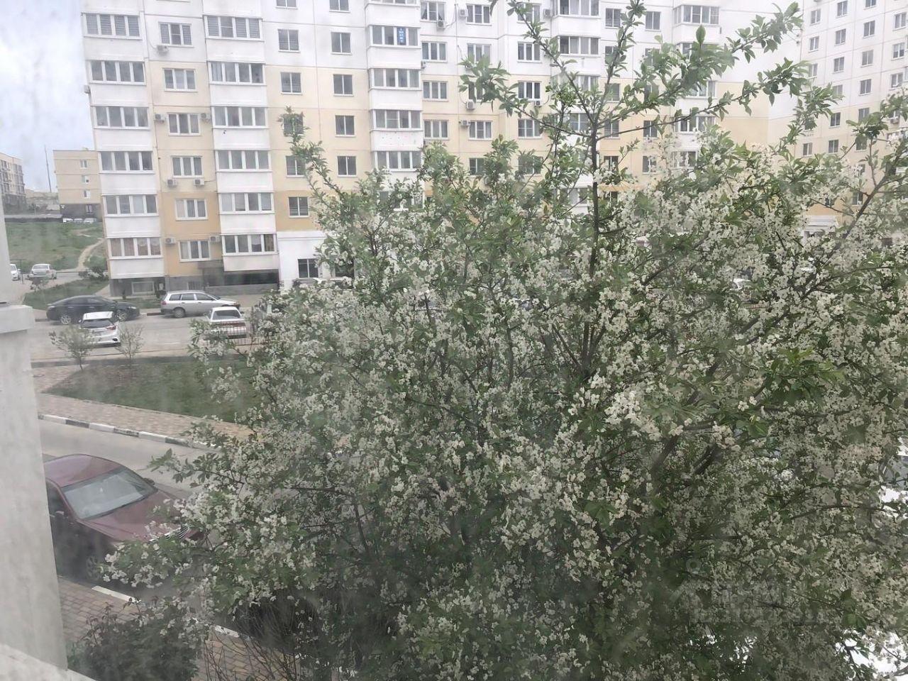 квартира р-н Анапский г Анапа ул Ленина 194 фото 1
