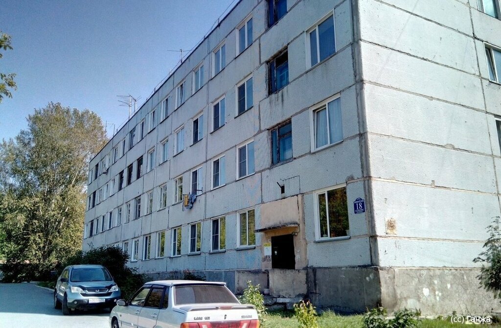 квартира г Новосибирск Речной вокзал ул Новоселов 18 фото 2