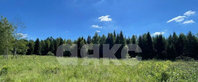 земля Раменское фото