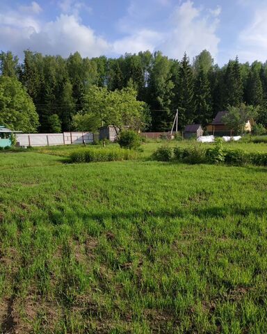 земля Ярославское шоссе, муниципальное образование Киржач фото
