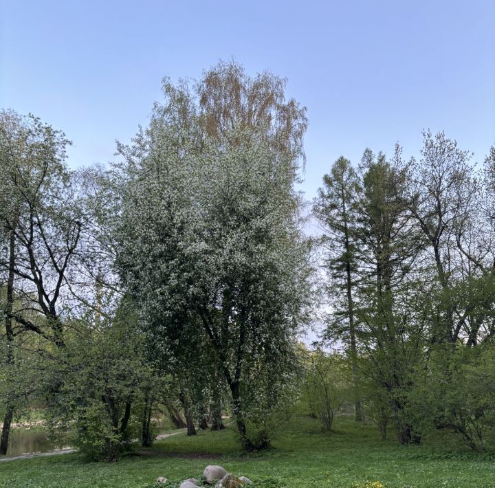 дом г Истра 0070356 кв-л фото 15