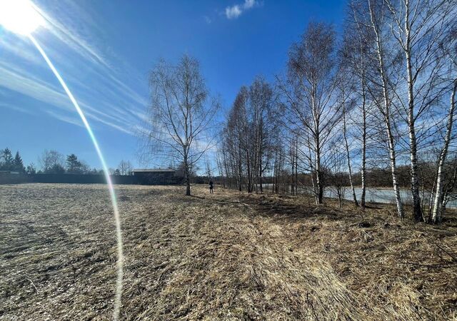 д Токарёво 92 км, Волоколамск, Новорижское шоссе фото