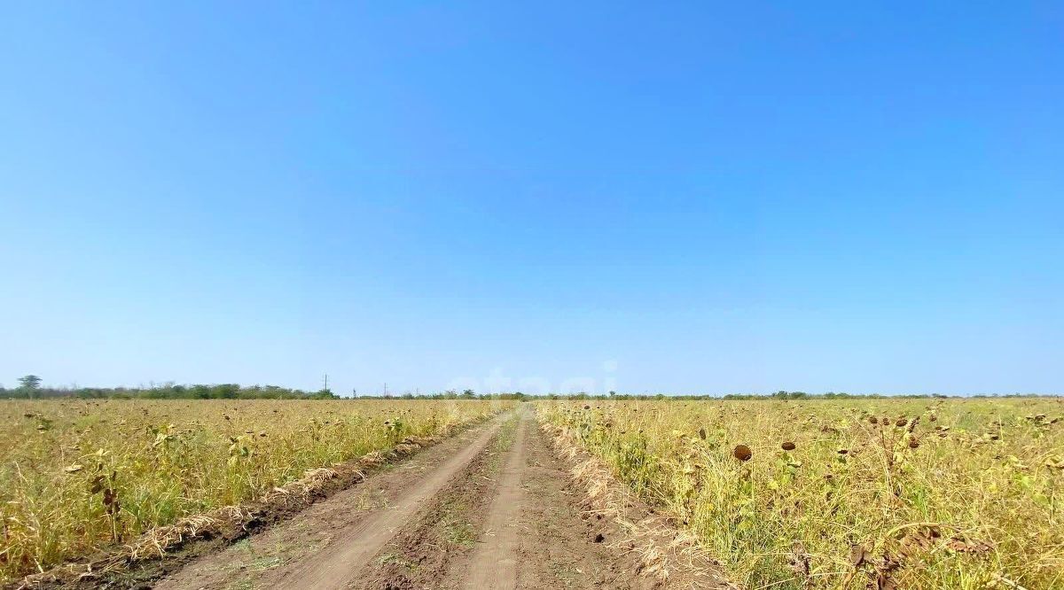 земля р-н Ейский г Ейск фото 2