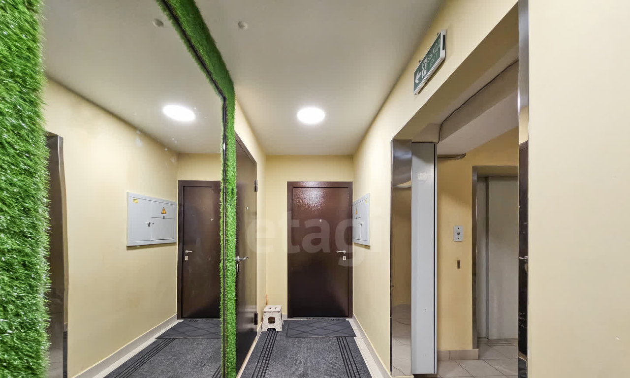 квартира г Набережные Челны ул Абдуллы Алиша 25 фото 45