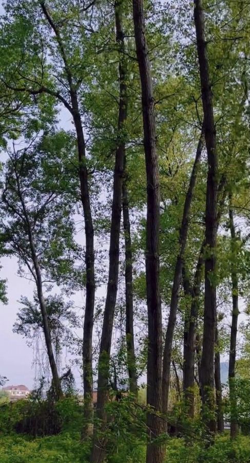 квартира г Махачкала р-н Кировский Благородная ул., 13 фото 7