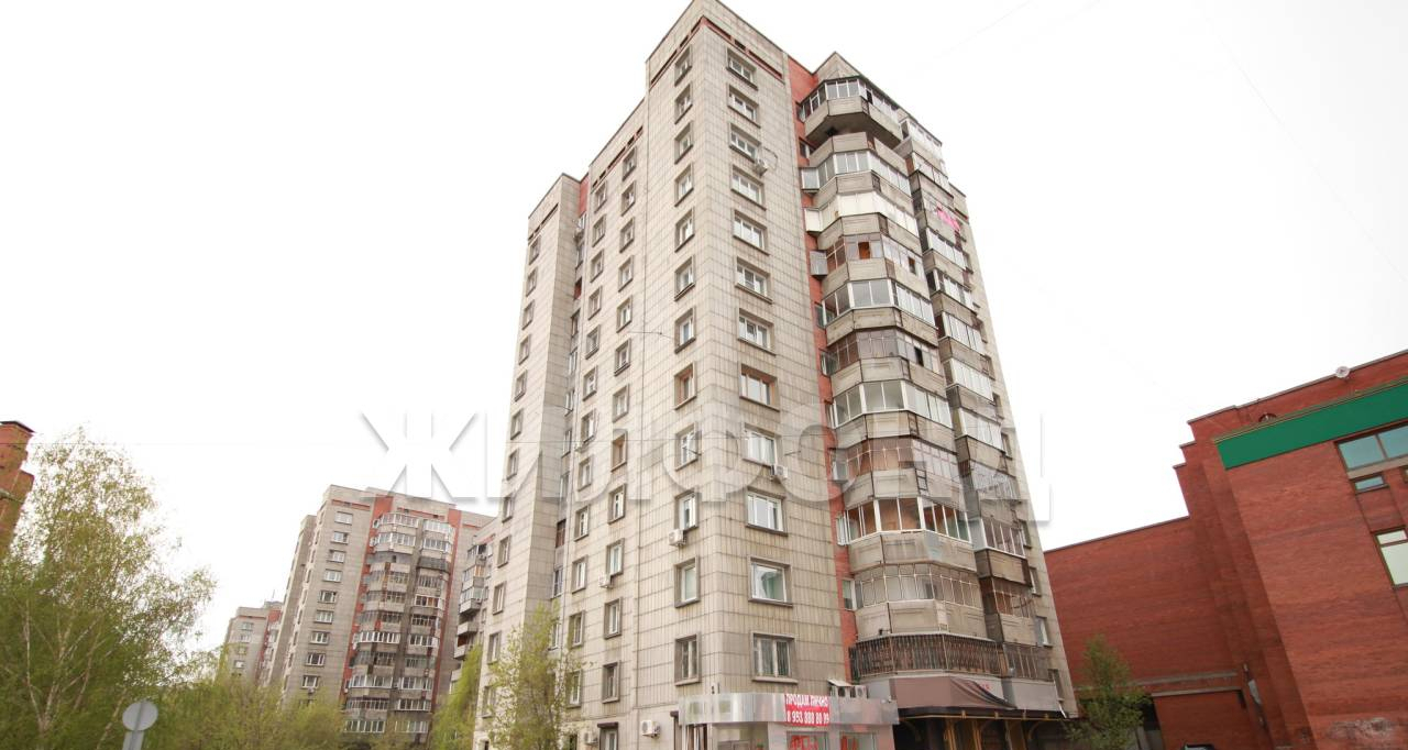 квартира г Новосибирск метро Площадь Гарина-Михайловского Вокзальная магистраль, 8/2 фото 17