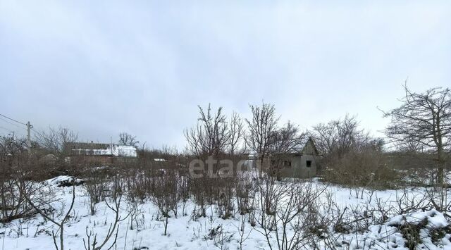 снт Южное фото