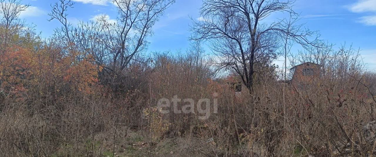 земля р-н Ейский г Ейск п Широчанка снт Авиаработник фото 4