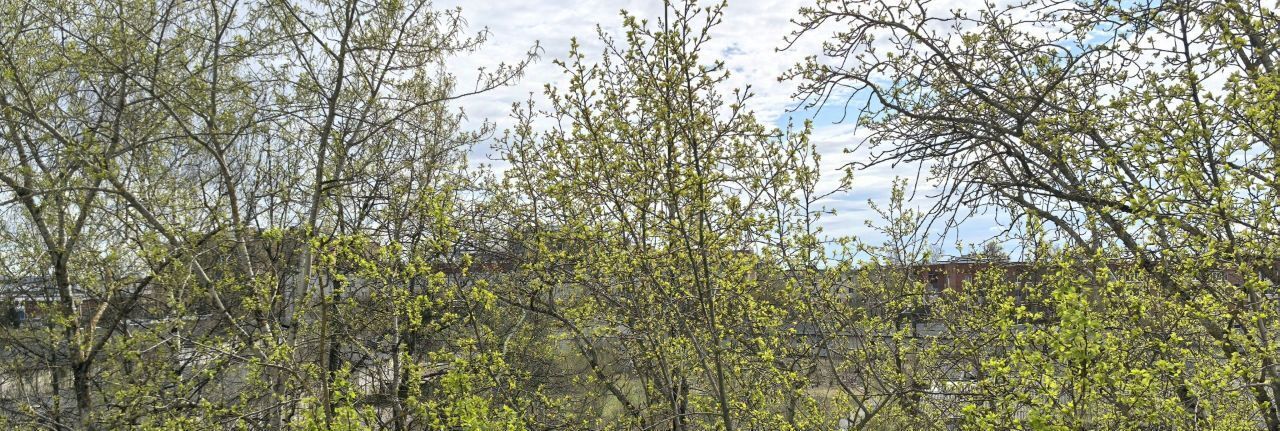 квартира р-н Гатчинский г Гатчина ул Рощинская 20 Гатчинское городское поселение фото 12
