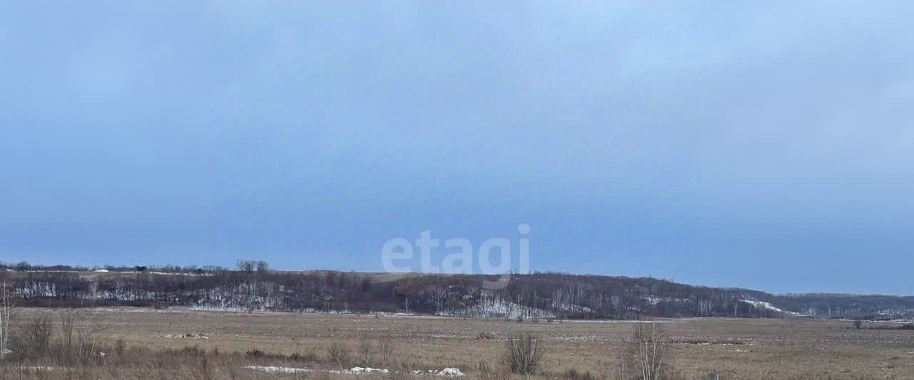 земля г Благовещенск фото 7