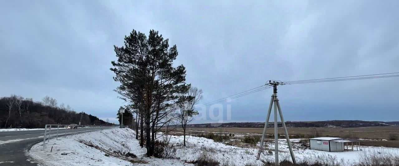 земля г Благовещенск фото 15