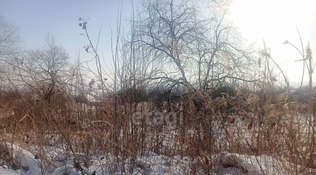 земля г Благовещенск Садовые участки фото 5