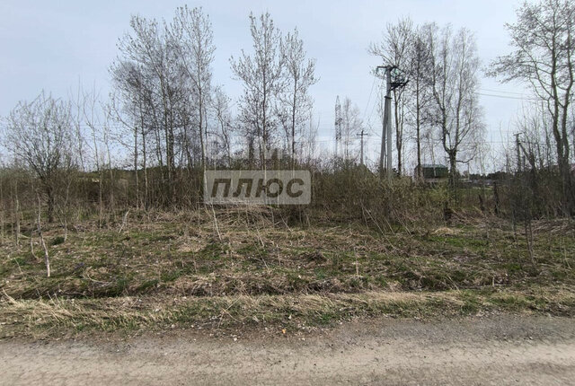 земля д Киргизка фото