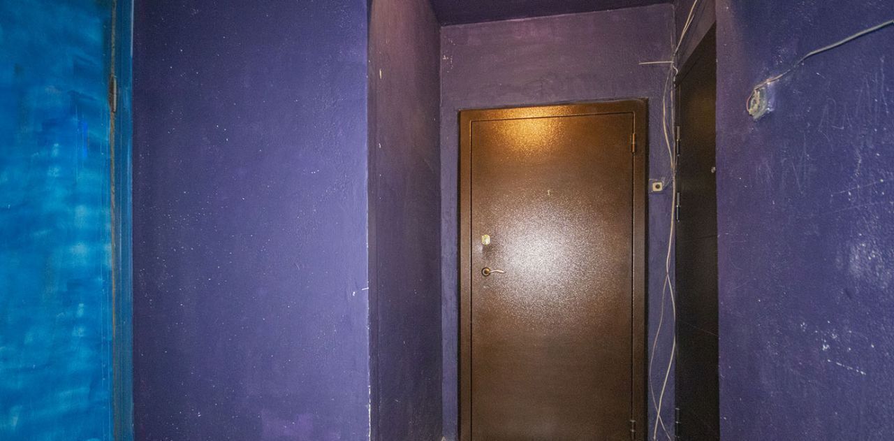 квартира г Екатеринбург р-н Орджоникидзевский ул Таганская 53 Проспект Космонавтов фото 20