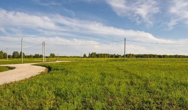 с Курское ул Октябрьская 139 Курский сельсовет, Большая Ирба фото