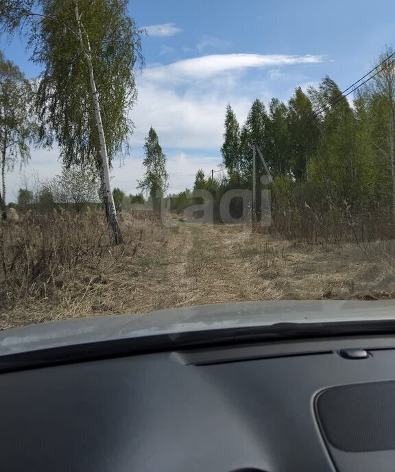 земля г Тюмень снт Светлое фото 2
