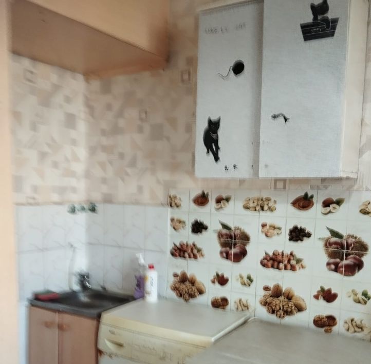 квартира г Новосибирск ул Сибиряков-Гвардейцев 58/1 Площадь Маркса фото 4