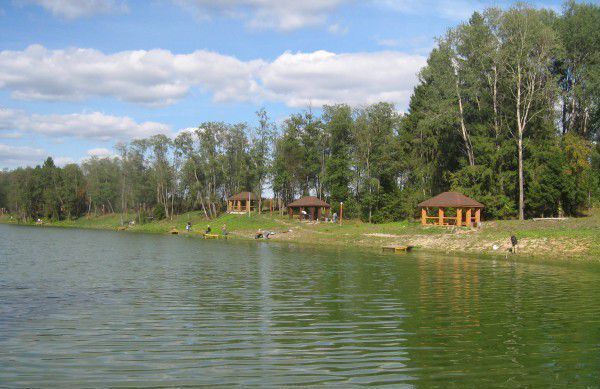 земля городской округ Клин г Высоковск 74 км, СНТ Ветеран, 375, г. о. Клин, Ленинградское шоссе фото 1