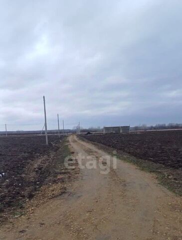 ст-ца Бакинская фото