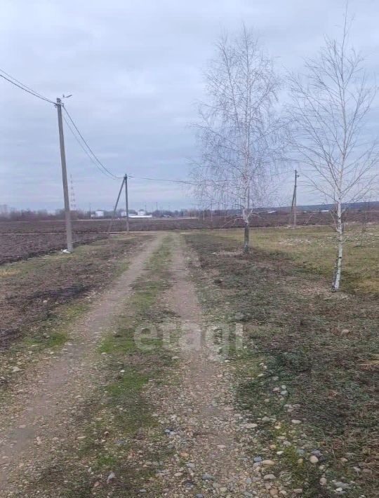 земля г Горячий Ключ ст-ца Бакинская фото 2