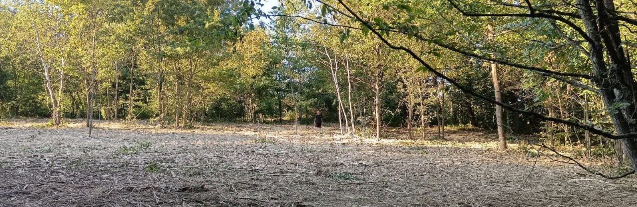 земля г Краснодар р-н Прикубанский снт Дружба фото 3