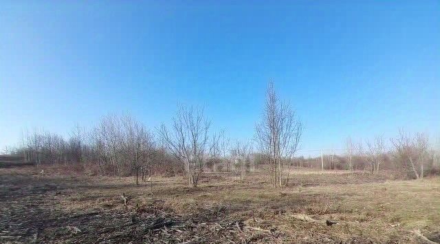 земля р-н Туапсинский г Туапсе снт Надежда фото 3