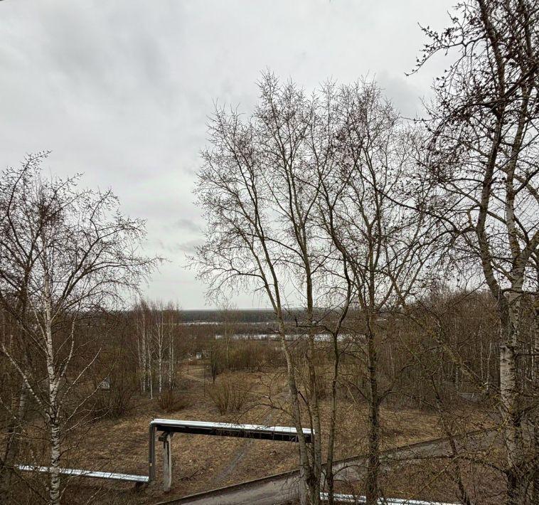 квартира г Сыктывкар Эжва проезд Набережный 2 фото 17