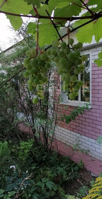 дом г Выкса рп Досчатое ул Свердлова фото 4