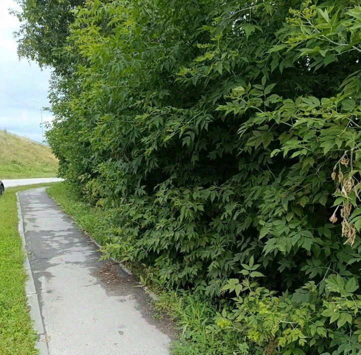 дом г Искитим ул Линейная фото 3