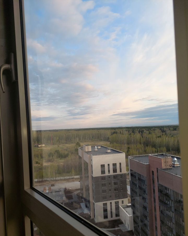 квартира г Новосибирск р-н Первомайский ул Радиостанция N2 22 ЖК «Одоевский» фото 8