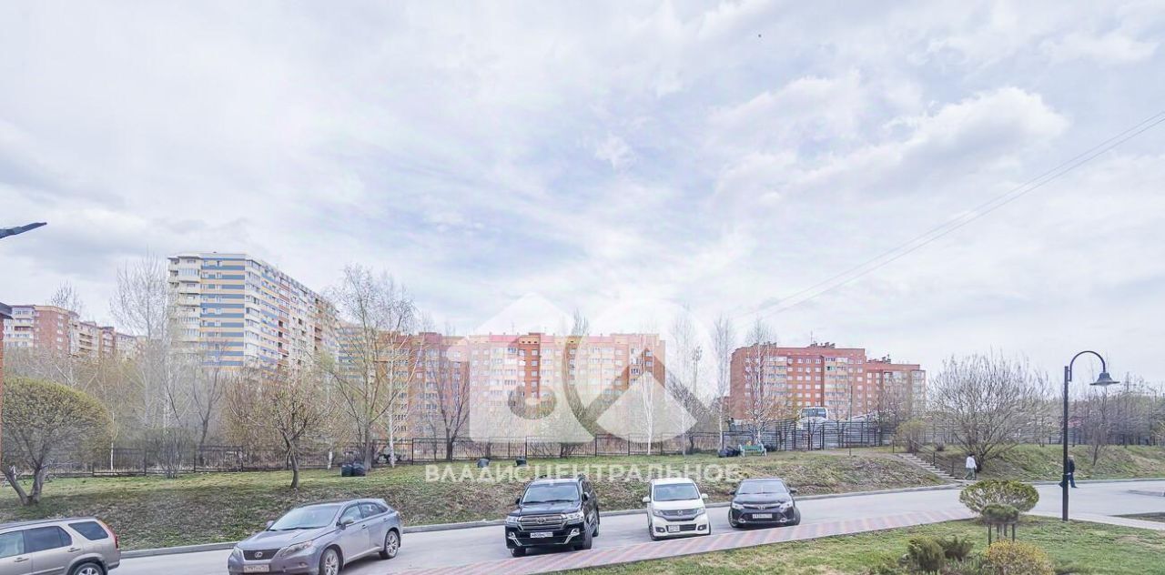 квартира г Новосибирск мкр Зеленый Бор Речной вокзал 5 фото 33