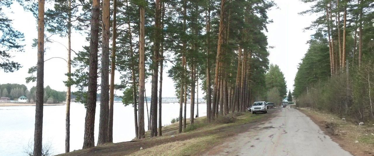 земля г Полевской с Курганово пер Можжевеловый фото 5