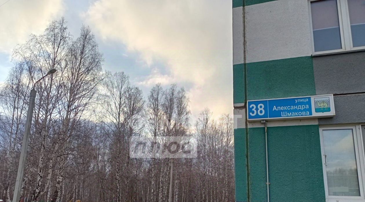 квартира г Челябинск р-н Курчатовский Парковый ул Александра Шмакова 38 фото 11