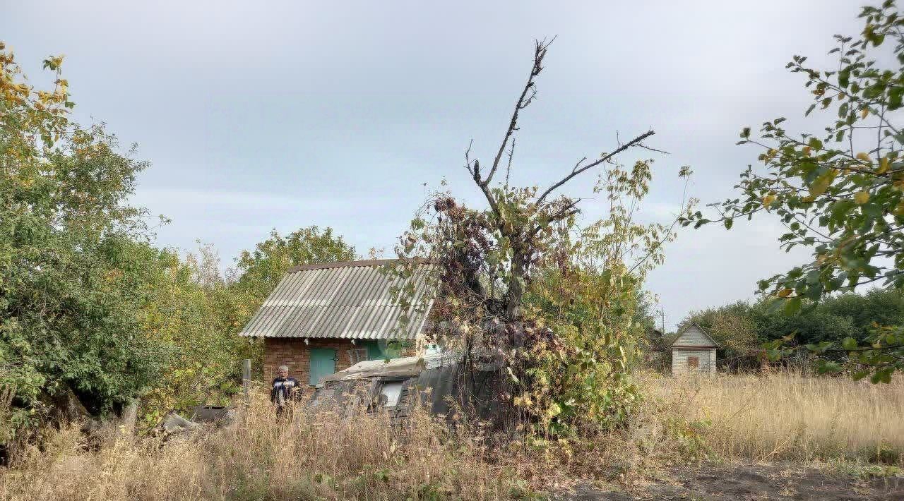 земля г Губкин сад Горняк-Мичуринец Губкинский городской округ фото 4