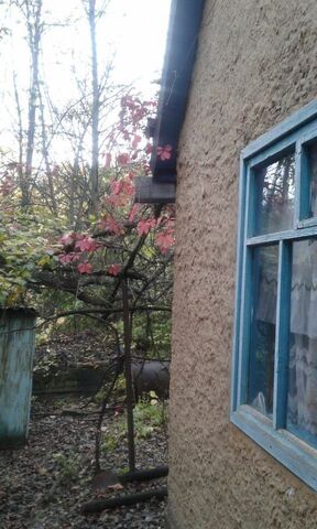 Городище, Старооскольский г. о., СНТ Лесное фото