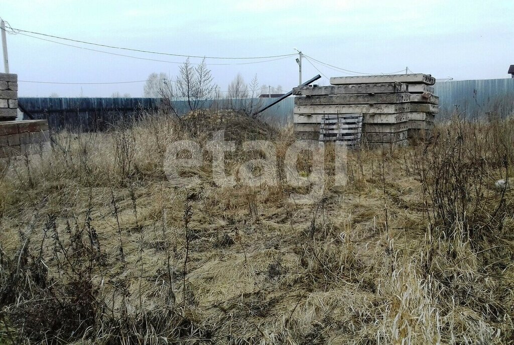 земля г Выкса рп Виля фото 6