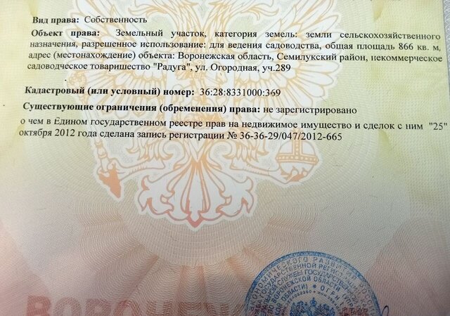 снт Радуга ул Центральная 98 Латненское сельское поселение, Семилуки фото