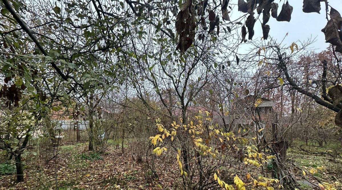 дом г Краснодар р-н Прикубанский снт Авангард ул Садовая 141 фото 13
