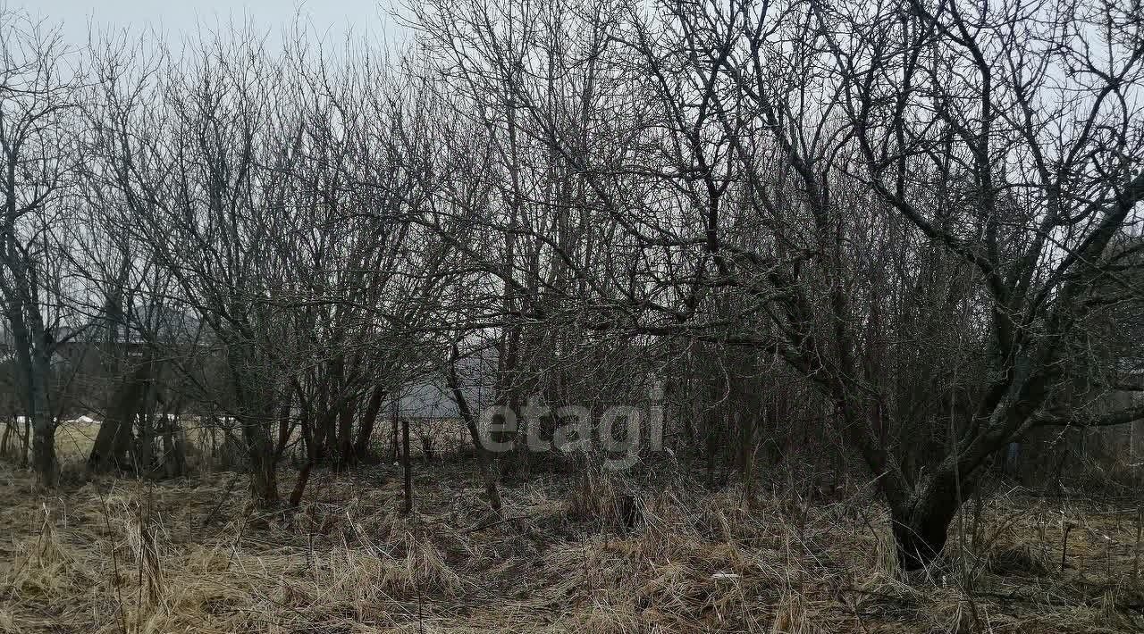 земля г Выкса рп Шиморское ул Советская 61 фото 9
