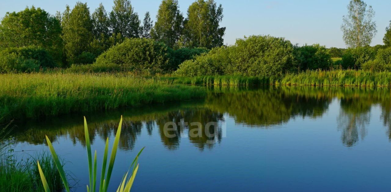 офис г Муром ул Заречная 6а д. Прудищи фото 8