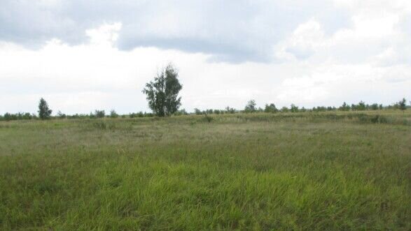 земля г Тольятти р-н Автозаводский ш Южное фото 1