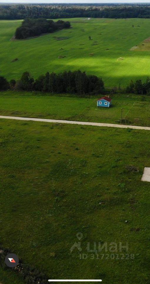 земля г Сосновый Бор Сосновоборский городской округ, Южная улица фото 2
