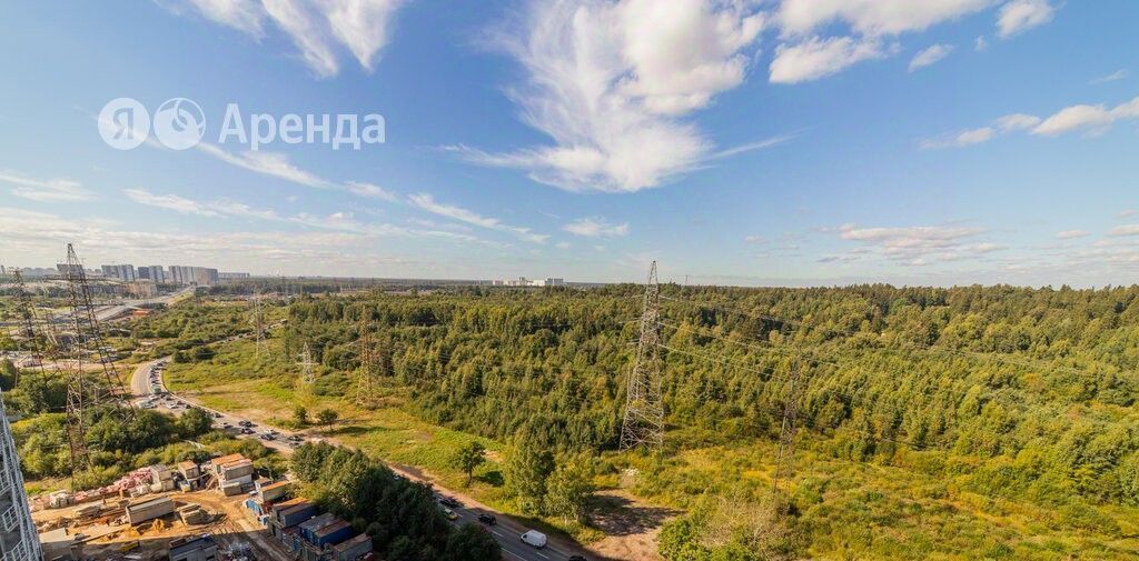 квартира г Санкт-Петербург п Парголово ул Заречная 13к/3 метро Парнас фото 12