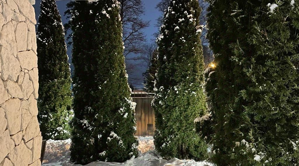 дом г Сестрорецк Тарховка ул Тарховская 2г Беговая фото 19